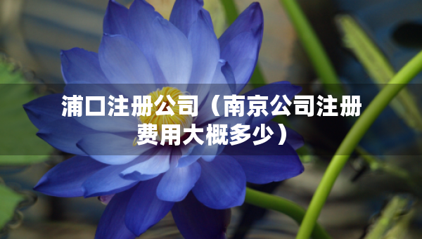 浦口注冊(cè)公司（南京公司注冊(cè)費(fèi)用大概多少）