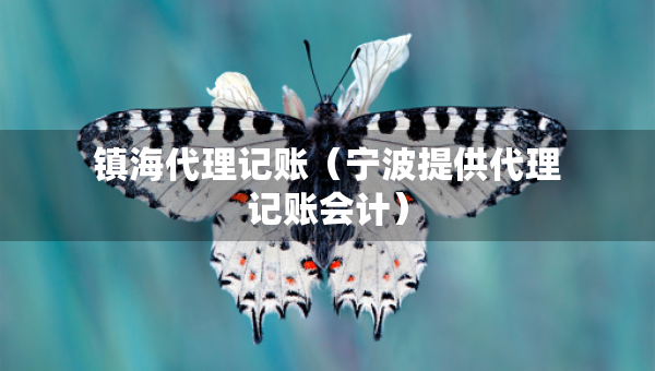 鎮(zhèn)海代理記賬（寧波提供代理記賬會(huì)計(jì)）