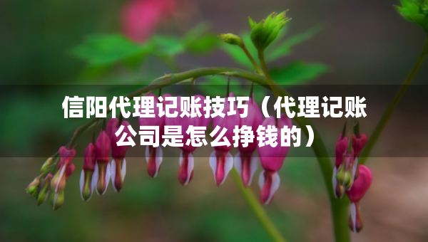 信陽代理記賬技巧（代理記賬公司是怎么掙錢的）