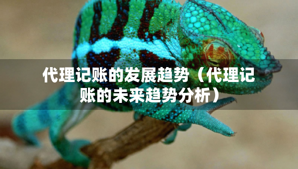 代理記賬的發(fā)展趨勢(shì)（代理記賬的未來(lái)趨勢(shì)分析）
