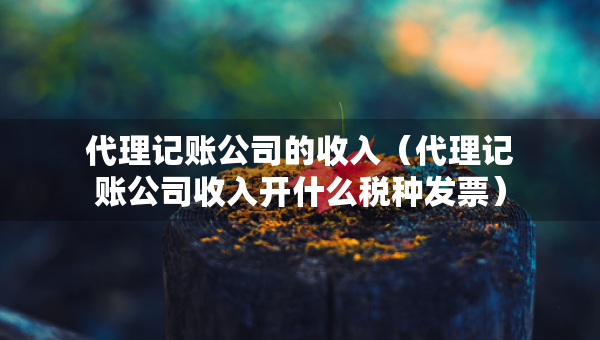 代理記賬公司的收入（代理記賬公司收入開什么稅種發(fā)票）