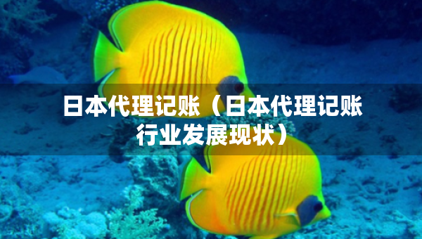 日本代理記賬（日本代理記賬行業(yè)發(fā)展現(xiàn)狀）