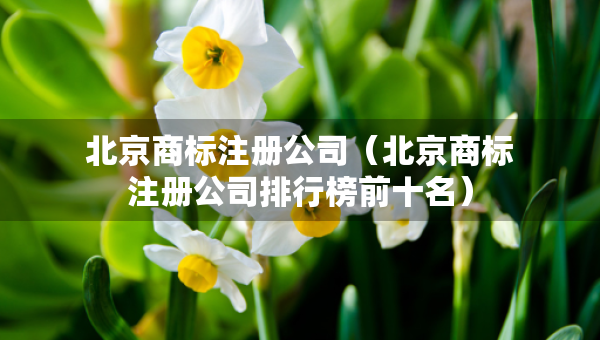 北京商標(biāo)注冊(cè)公司（北京商標(biāo)注冊(cè)公司排行榜前十名）