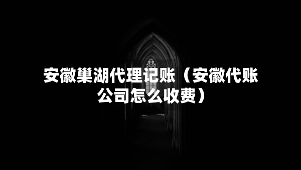 安徽巢湖代理記賬（安徽代賬公司怎么收費(fèi)）