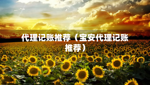 代理記賬推薦（寶安代理記賬推薦）