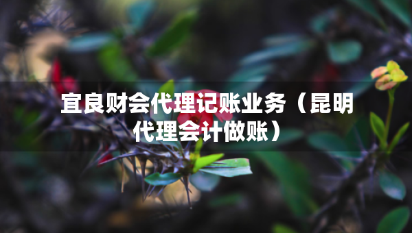 宜良財會代理記賬業(yè)務(wù)（昆明代理會計做賬）