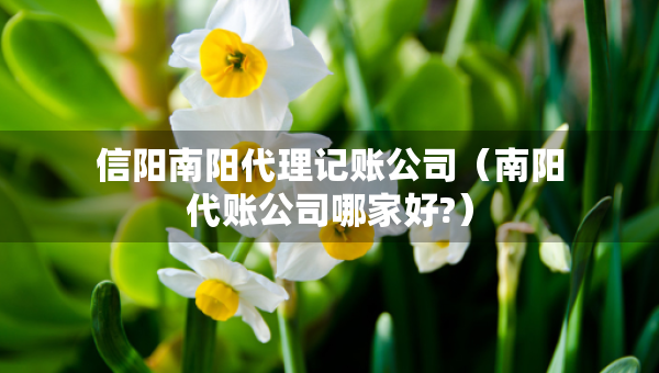 信陽南陽代理記賬公司（南陽代賬公司哪家好?）