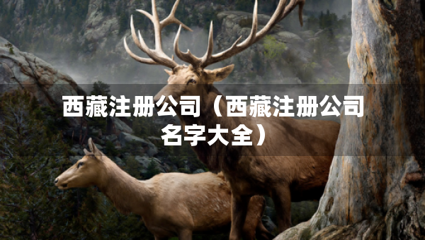 西藏注冊公司（西藏注冊公司名字大全）