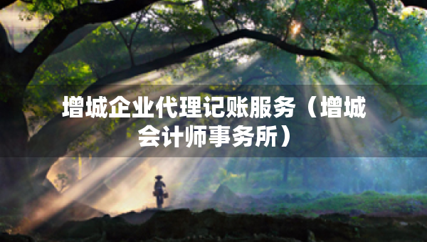 增城企業(yè)代理記賬服務（增城會計師事務所）