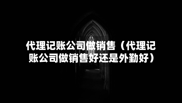 代理記賬公司做銷(xiāo)售（代理記賬公司做銷(xiāo)售好還是外勤好）