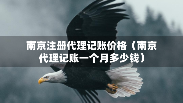 南京注冊代理記賬價格（南京代理記賬一個月多少錢）