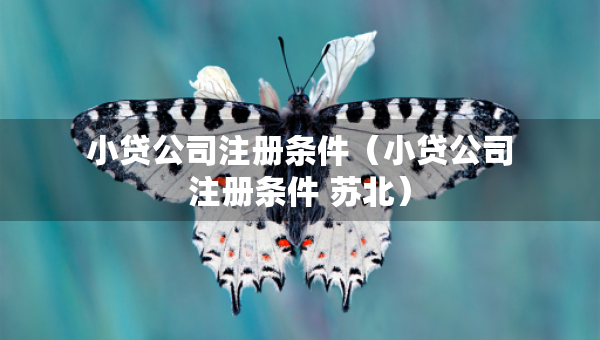 小貸公司注冊條件（小貸公司注冊條件 蘇北）