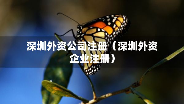 深圳外資公司注冊（深圳外資企業(yè)注冊）