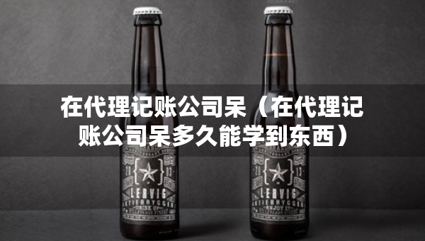 在代理記賬公司呆（在代理記賬公司呆多久能學到東西）