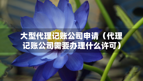 大型代理記賬公司申請(qǐng)（代理記賬公司需要辦理什么許可）