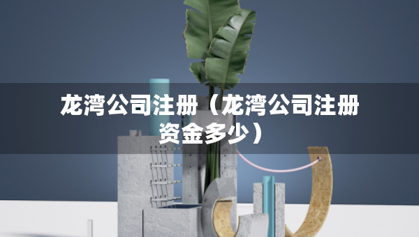 龍灣公司注冊（龍灣公司注冊資金多少）