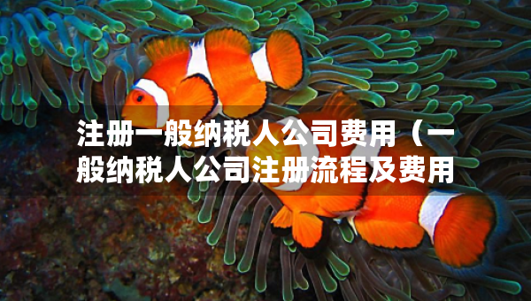 注冊一般納稅人公司費用（一般納稅人公司注冊流程及費用）