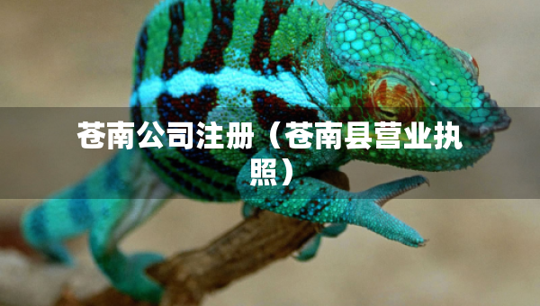 蒼南公司注冊（蒼南縣營業(yè)執(zhí)照）