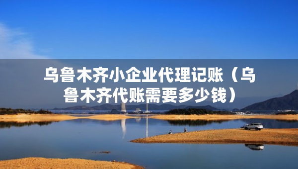 烏魯木齊小企業(yè)代理記賬（烏魯木齊代賬需要多少錢）