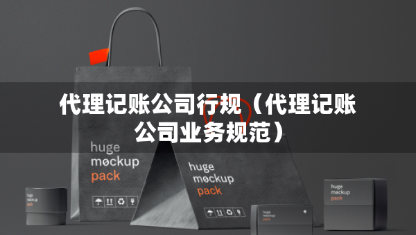 代理記賬公司行規(guī)（代理記賬公司業(yè)務(wù)規(guī)范）