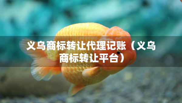 義烏商標(biāo)轉(zhuǎn)讓代理記賬（義烏商標(biāo)轉(zhuǎn)讓平臺）