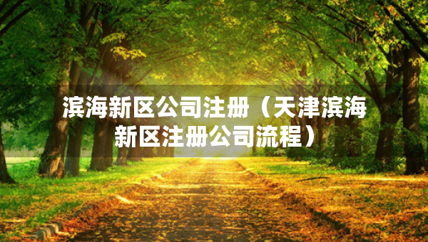濱海新區(qū)公司注冊(cè)（天津?yàn)I海新區(qū)注冊(cè)公司流程）