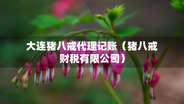 大連豬八戒代理記賬（豬八戒財(cái)稅有限公司）