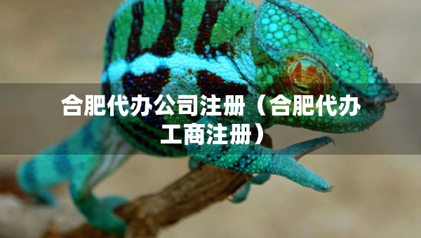 合肥代辦公司注冊(cè)（合肥代辦工商注冊(cè)）