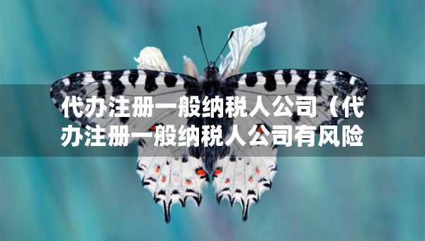 代辦注冊(cè)一般納稅人公司（代辦注冊(cè)一般納稅人公司有風(fēng)險(xiǎn)嗎）