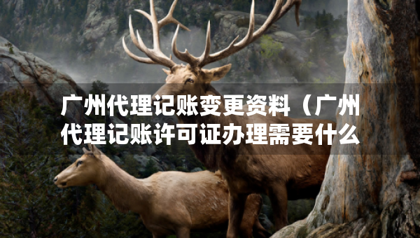 廣州代理記賬變更資料（廣州代理記賬許可證辦理需要什么條件）