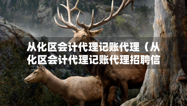 從化區(qū)會計(jì)代理記賬代理（從化區(qū)會計(jì)代理記賬代理招聘信息）