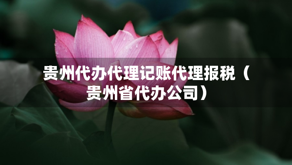 貴州代辦代理記賬代理報(bào)稅（貴州省代辦公司）