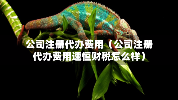 公司注冊(cè)代辦費(fèi)用（公司注冊(cè)代辦費(fèi)用速恒財(cái)稅怎么樣）