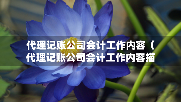 代理記賬公司會(huì)計(jì)工作內(nèi)容（代理記賬公司會(huì)計(jì)工作內(nèi)容描述）