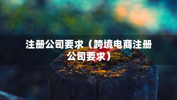 注冊(cè)公司要求（跨境電商注冊(cè)公司要求）