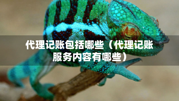 代理記賬包括哪些（代理記賬服務(wù)內(nèi)容有哪些）