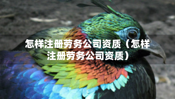 怎樣注冊勞務(wù)公司資質(zhì)（怎樣注冊勞務(wù)公司資質(zhì)）