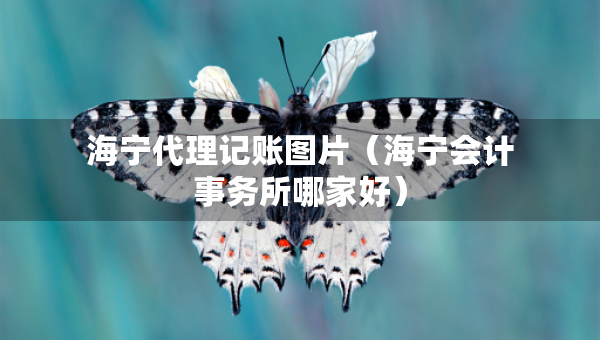 海寧代理記賬圖片（海寧會(huì)計(jì)事務(wù)所哪家好）