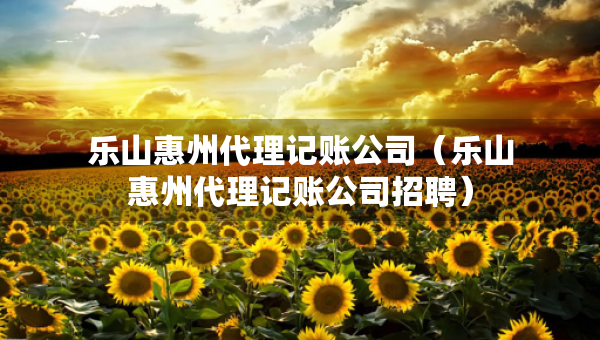 樂山惠州代理記賬公司（樂山惠州代理記賬公司招聘）