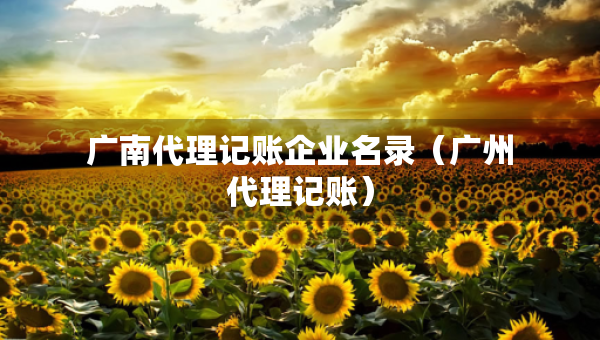 廣南代理記賬企業(yè)名錄（廣州代理記賬）
