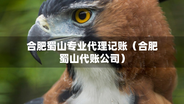 合肥蜀山專業(yè)代理記賬（合肥蜀山代賬公司）
