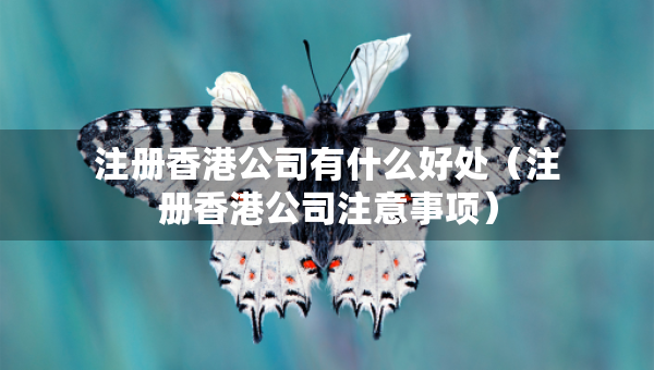 注冊香港公司有什么好處（注冊香港公司注意事項(xiàng)）