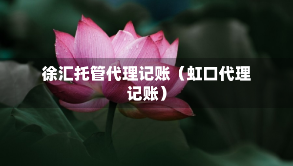 徐匯托管代理記賬（虹口代理記賬）