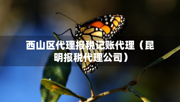西山區(qū)代理報稅記賬代理（昆明報稅代理公司）