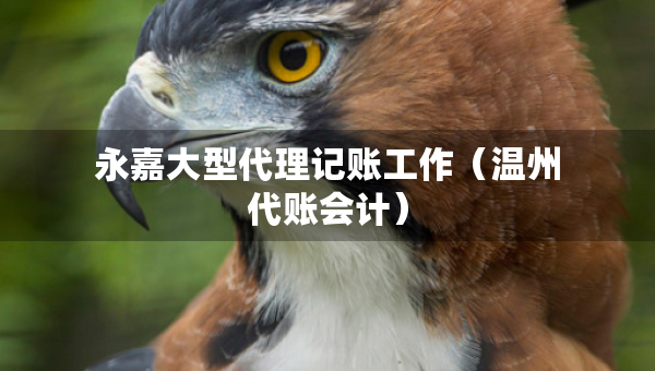 永嘉大型代理記賬工作（溫州代賬會(huì)計(jì)）