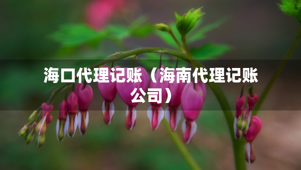 ?？诖碛涃~（海南代理記賬公司）