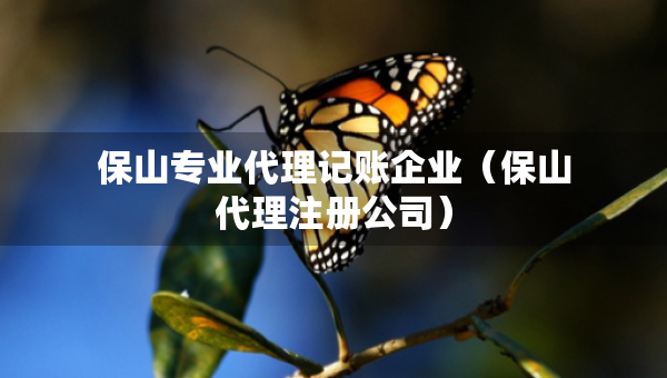 保山專(zhuān)業(yè)代理記賬企業(yè)（保山代理注冊(cè)公司）
