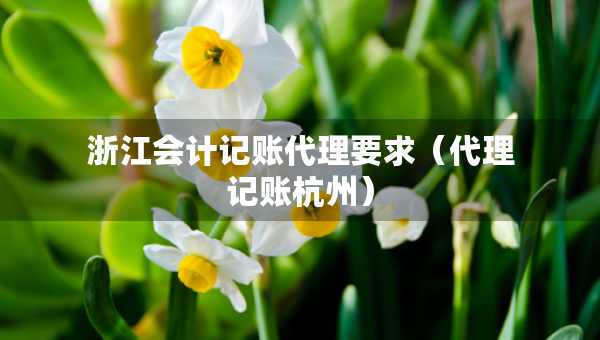 浙江會(huì)計(jì)記賬代理要求（代理記賬杭州）