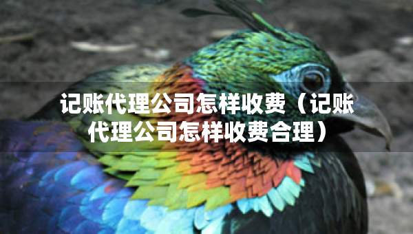 記賬代理公司怎樣收費(fèi)（記賬代理公司怎樣收費(fèi)合理）
