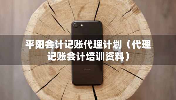 平陽(yáng)會(huì)計(jì)記賬代理計(jì)劃（代理記賬會(huì)計(jì)培訓(xùn)資料）